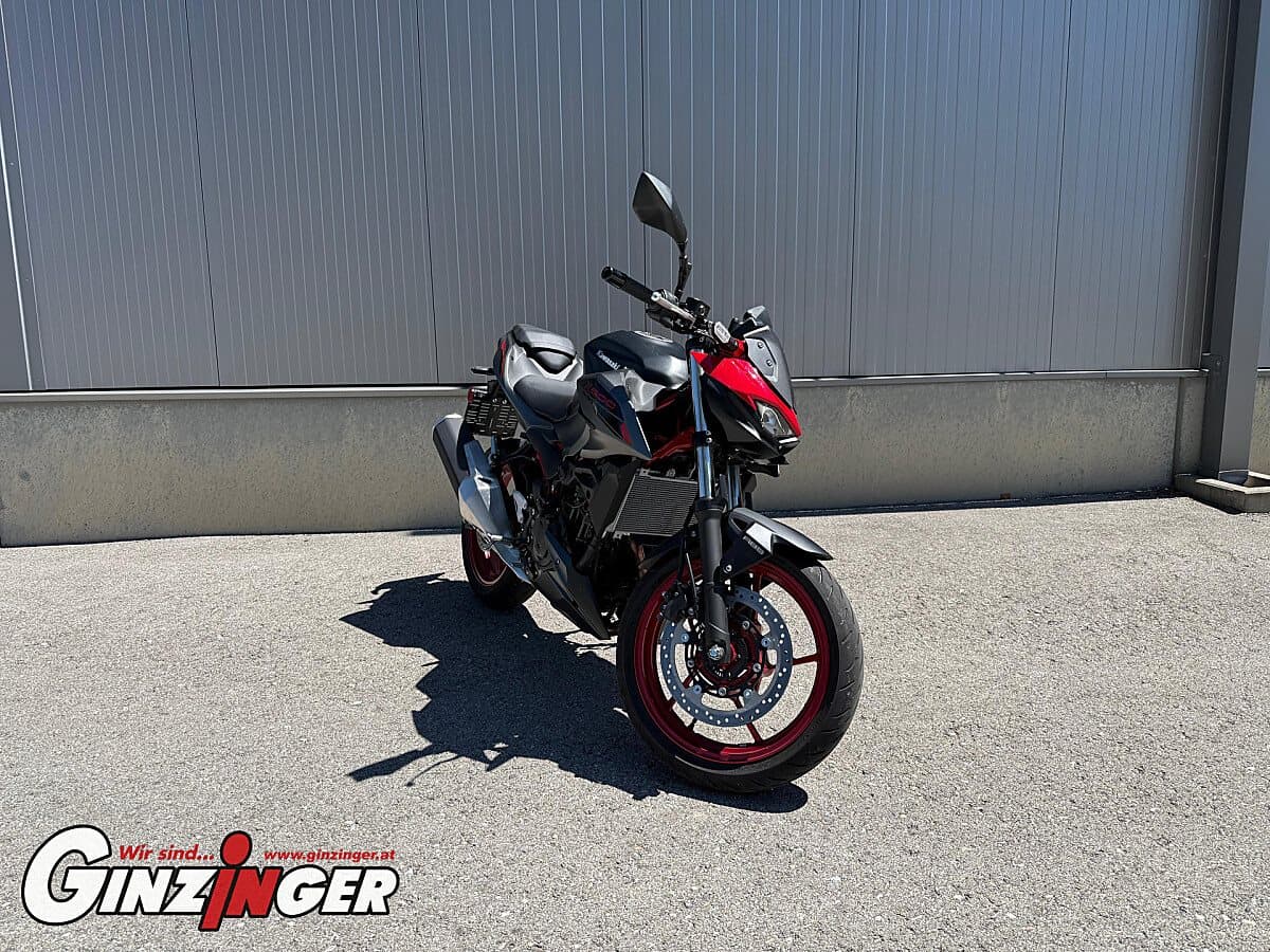 Z 500 SE