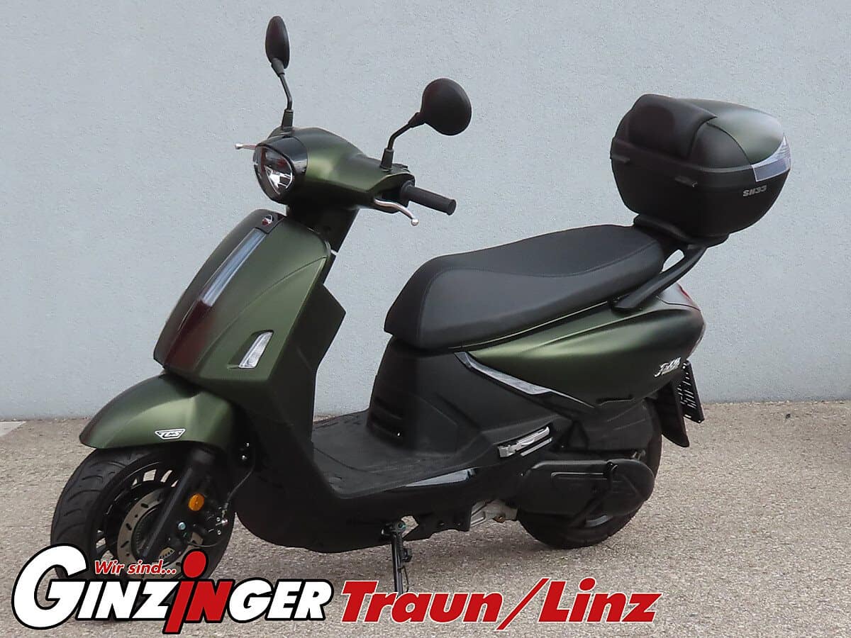 Fiddle 125 – Bild 2